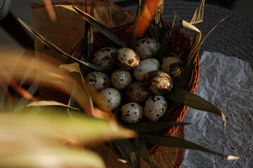 Beautiful quail eggs lie in a wicker basket