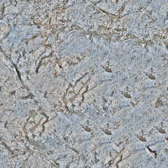 An old gray stone with mold. Seamless texture. Background