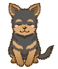 おじぎするヨークシャーテリア（ブラックタン）