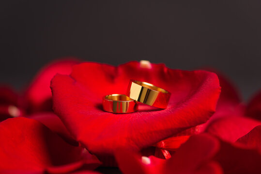 close up of golden wedding rings on red rose petals on grey.
