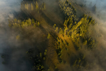 Aerial view of beautiful landscape with misty forest