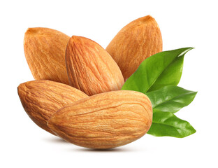 Tasty almonds and fresh green leaves on white background
