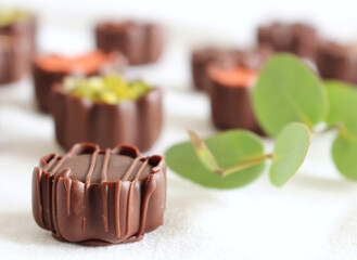 Top view of various chocolate pralines isolated on white background.Exclusive chocolate candies. Product concept for a chocolatier.