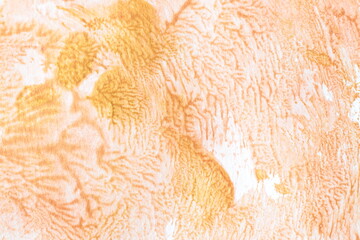 orange colour  brush painting background