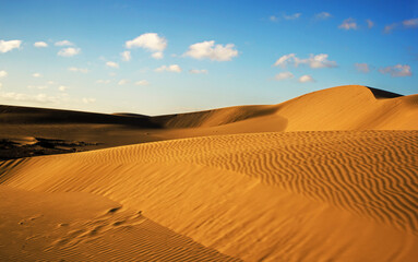 sand dunes in the desert