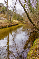 Reflections of the forest in the calm river on an autumnal day. Duraton, Segovia.