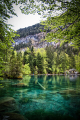 Blausee Kandergrund Switzerland in spring with blue water