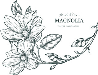 magnolia hand drawn flowers - obrazy, fototapety, plakaty