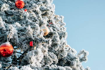 Close-up of festive snowy Christmas tree decorated with large toys balls against clear blue sky, outdoors. Merry christmas celebration and happy new year concept