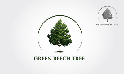Green Beech Tree Logo Template. This beautiful tree is a symbol of life, beauty, growth, strength, and good health. - obrazy, fototapety, plakaty