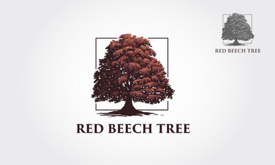 Red Beech Tree Logo Template. This beautiful tree is a symbol of life, beauty, growth, strength, and good health.  - obrazy, fototapety, plakaty