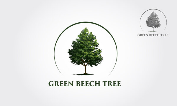 Green Beech Tree Logo Template. This beautiful tree is a symbol of life, beauty, growth, strength, and good health.