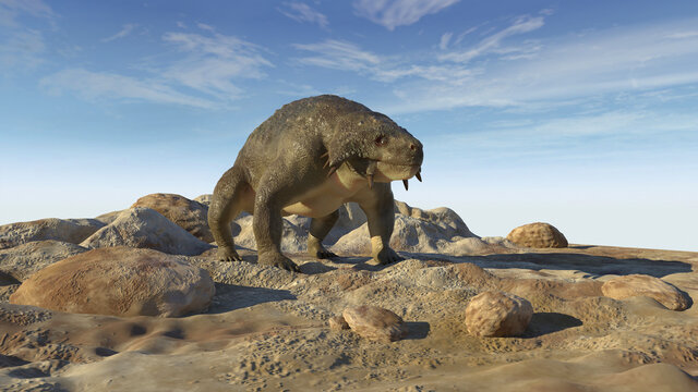 Scutosaurus on rocky terrain