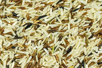 Brown rice full screen.