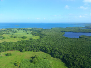 Aerial view of tropical vegetation and turquoise waters of the Caribbean Sea. Landscape and nature of the French West Indies.