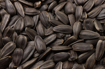 sunflower seeds close up for background 