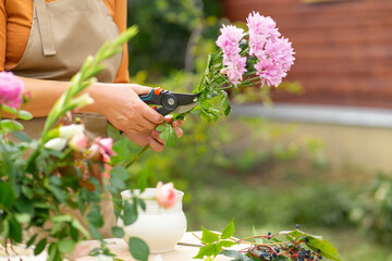 Close-up of female hand with pruner. Chrysanthemum pruning. Drawing up bouquet of flowers from home...