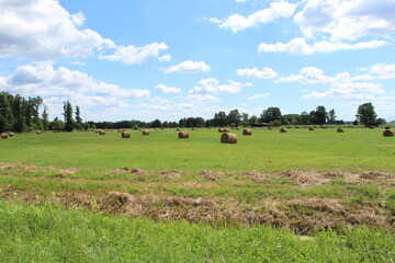 Feld mit Heuballen