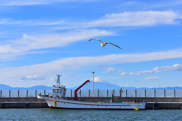 片瀬漁港に停泊する漁船とカモメと富士山