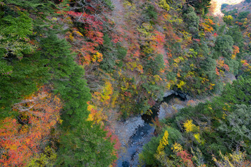 静岡県榛原郡川根本町　紅葉の寸又峡