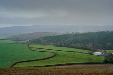 Fototapeta na wymiar snaking hedgerow over hill and fields in english countryside on a gray rainy and cloudy day