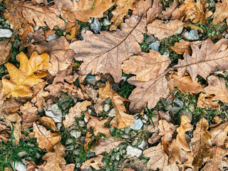 Beautiful vertical backgrounds with autumn leaves and greens. 