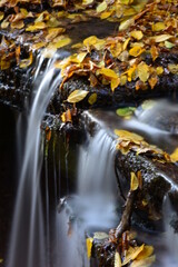 Tretstein Wasserfall im Herbst Nahaufnahme mit Langzeitbelichtung und Laub	