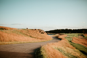 Winding hills sunset landscape