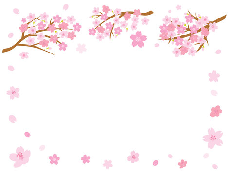 満開に咲いた桜のピンクのフレームイラスト