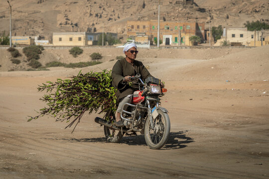 Arabischer Mann sitzt auf einem Motorrad und transportiert Sträucher