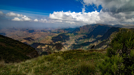 Dschelada ,Raben  Simien Nordäthiopien
