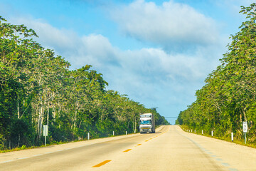Driving truck on the highway in jungle tropical nature Mexico.