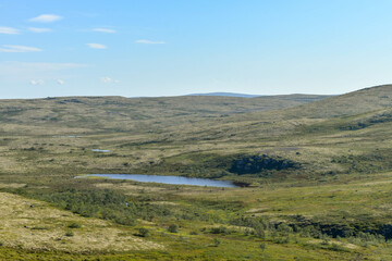 Fototapeta na wymiar The wide and immense expanses of tundra in the north of Russia on a summer day.
