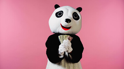 person in panda bear costume holding dollar banknotes isolated on pink.