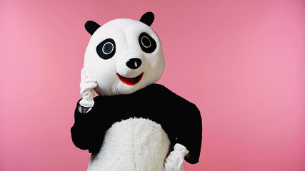 person in happy panda bear costume standing isolated on pink.