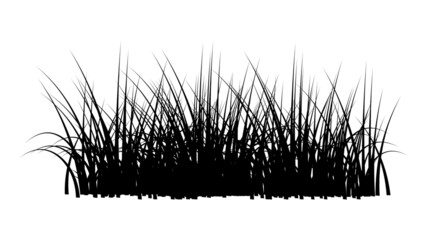 Grass silhouettes. Panorama black plants like fresh cane or weeds on plain and meadow landscape vector horizontal outdoor view set