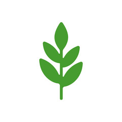Drawing of a seedling with fresh leaves. Vector