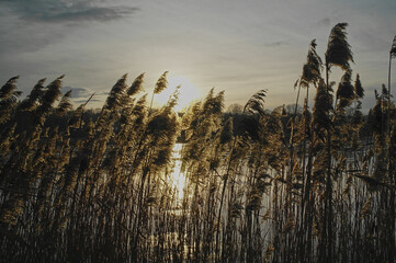 lake 