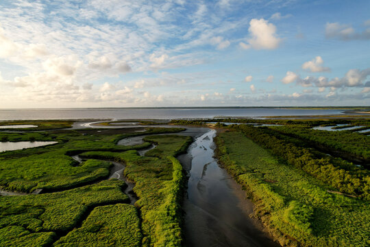 Vue a&eacute;rienne des pr&eacute;s sal&eacute;s de Gujan-Mestras sur le bassin d'Arcachon, France.