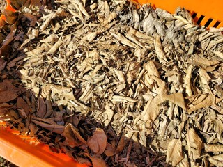 Crushed tangerine tree, Dried tangerine tree