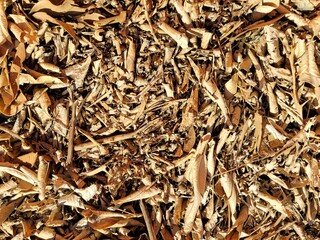 Crushed tangerine tree, Dried tangerine tree