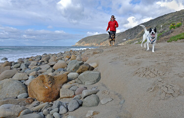 Woman running on beach with dogs.