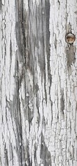 verwitterte Holz Struktur