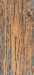 verwitterte Holz Struktur