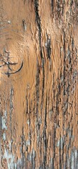 verwitterte Holz Struktur