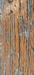 verwitterte Holz Struktur