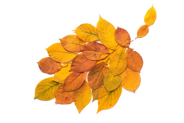 Leaf formed with yellow autumn leaves isolated on white background