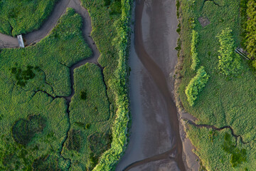 Top Down view of a watery landscape, salty meadow, Arcachon.