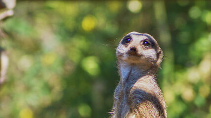 BuinZoo, Buin, Chile

Fotografías por Patricio Olivos.