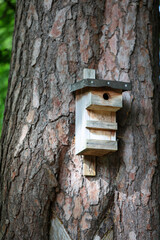 Ein aus Holzresten gebauter Nistkasten für die Vögel aus Bruthilfe.